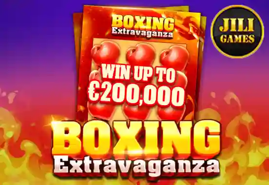 Boxing Extravaganza