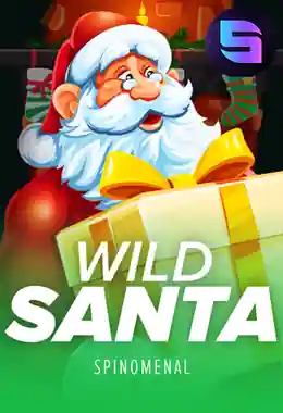 Santa's Wild Night