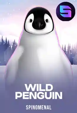 Wild Penguin