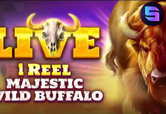 1 Reel - Majestic Wild Buffalo