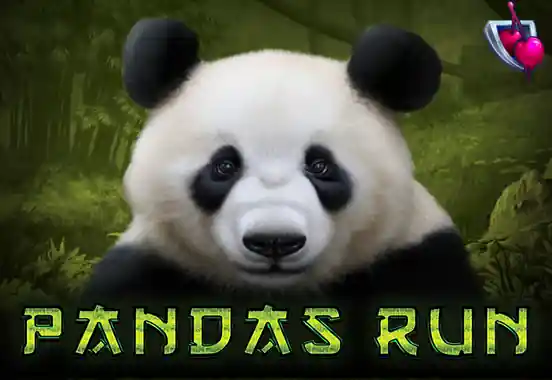 Pandas Run