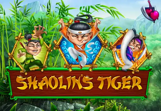 Shaolin's Tiger